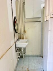 EAST PAYOH PALM (D12), Shop House #575099181